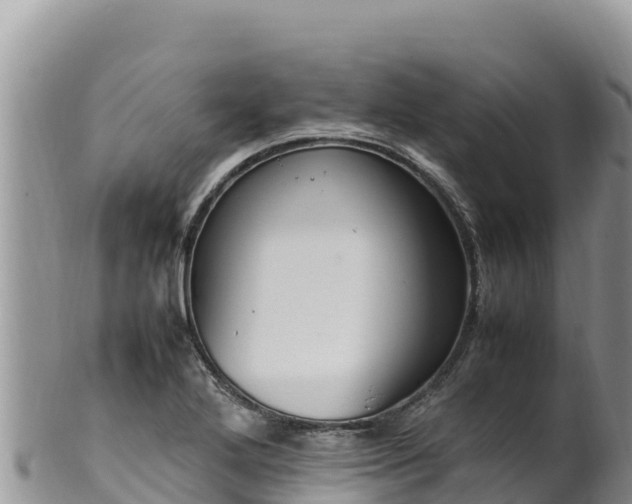 X0000102251272200808011302