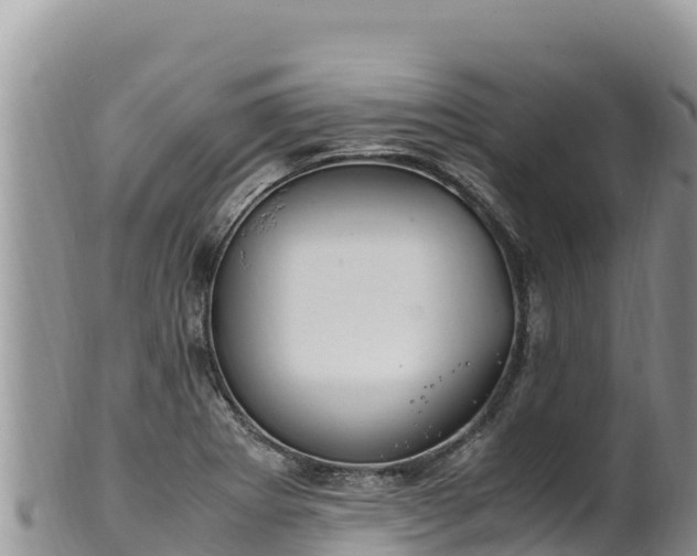 X0000102251273200808011302