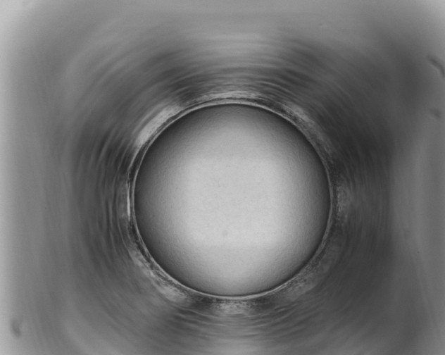 X0000102251274200808011302