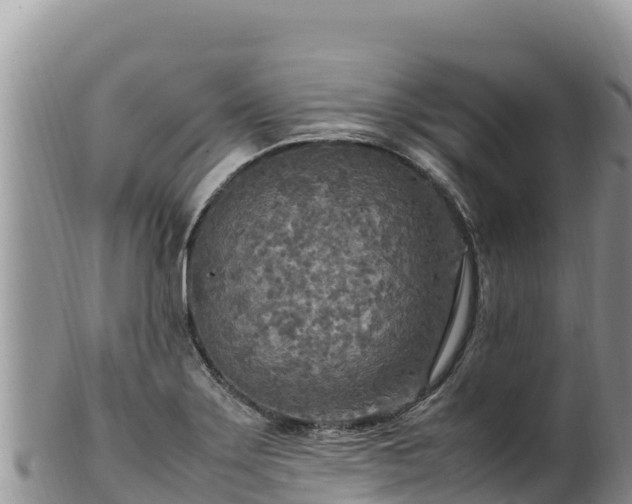 X0000102251275200808011302