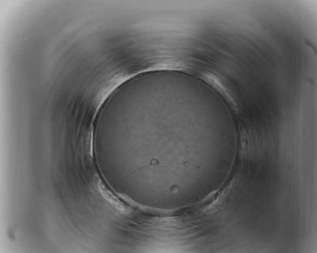 X0000102251276200808011302