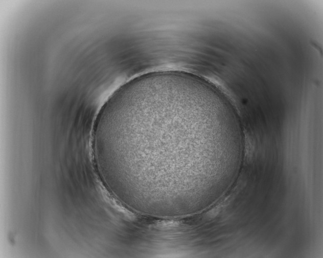 X0000102251278200808011302