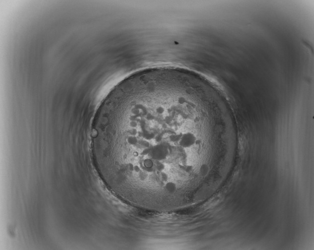 X0000102251279200808011302