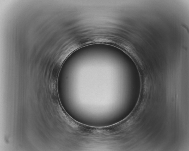 X0000102251281200808011302