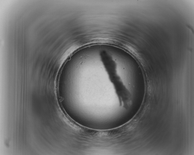 X0000102251283200808011302