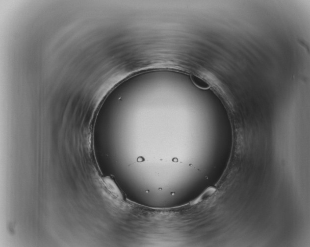 X0000102251284200808011302