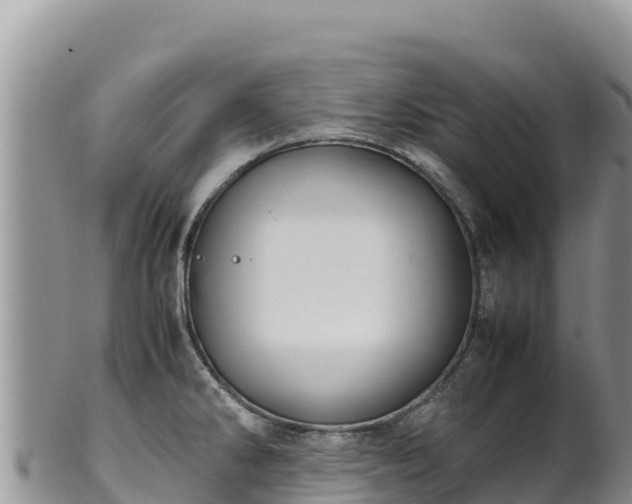 X0000102251286200808011302