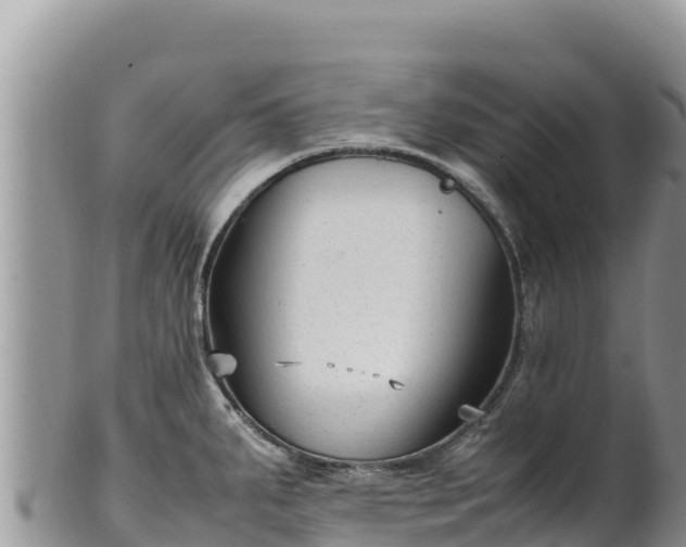 X0000102251287200808011302