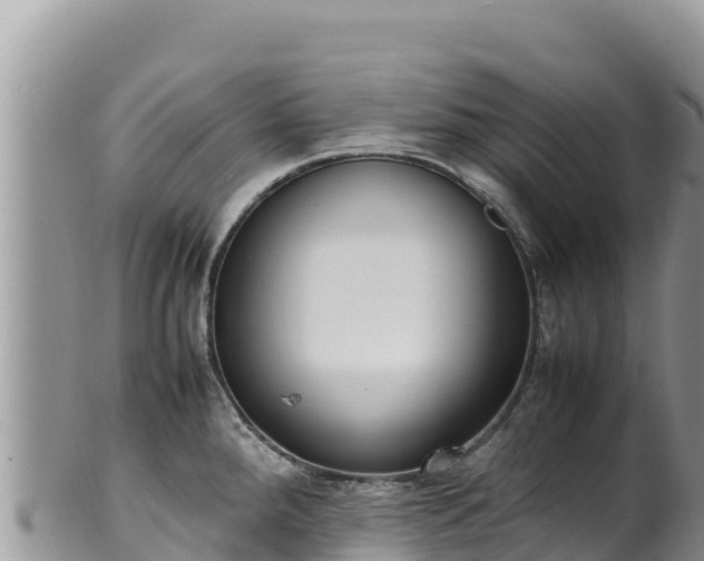 X0000102251288200808011302