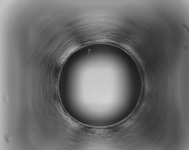 X0000102251289200808011302