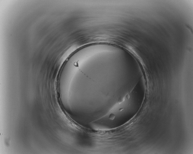 X0000102251291200808011302