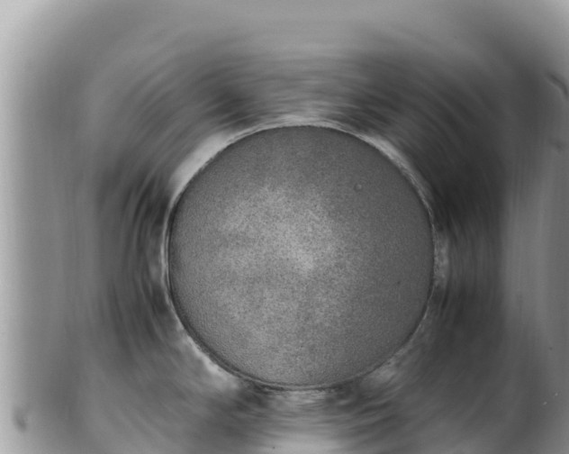 X0000102251294200808011302