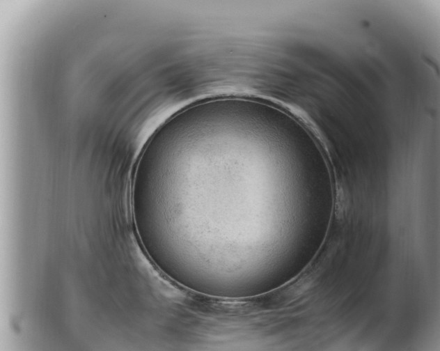 X0000102251295200808011302