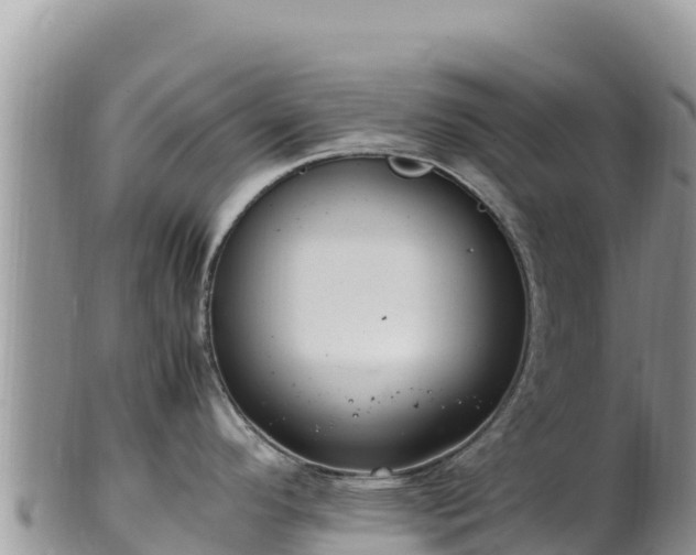 X0000102251296200808011302