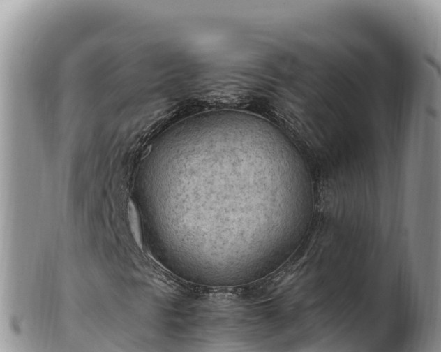 X0000102251297200808011301