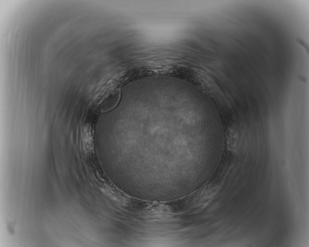 X0000102251298200808011301