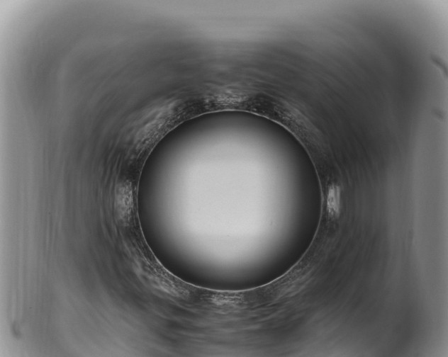 X0000102251299200808011301