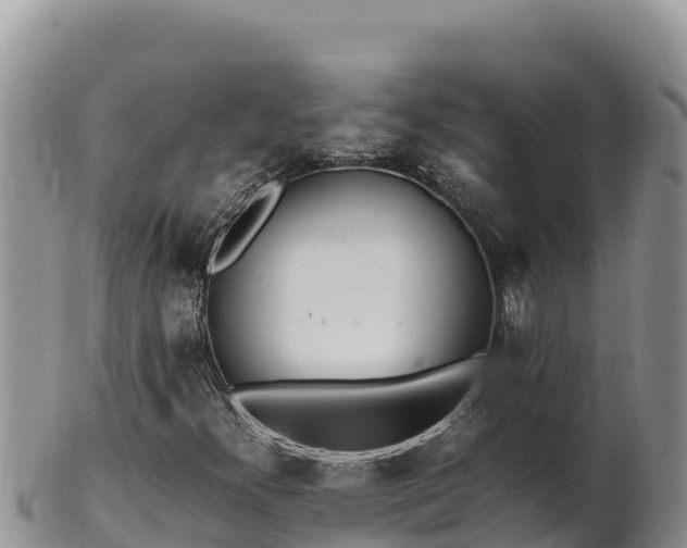 X0000102251300200808011301