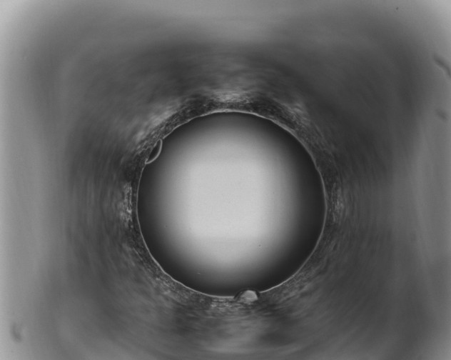 X0000102251301200808011301