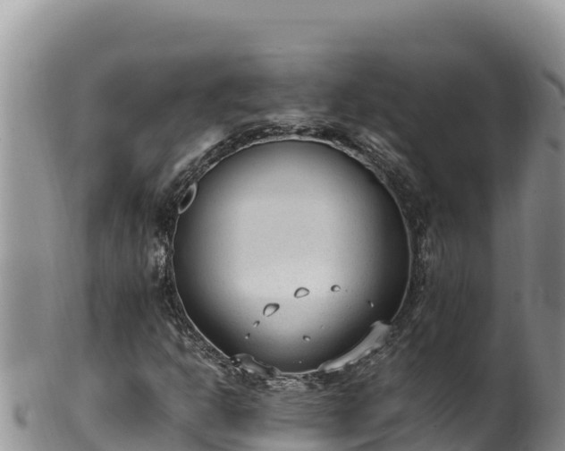 X0000102251302200808011301