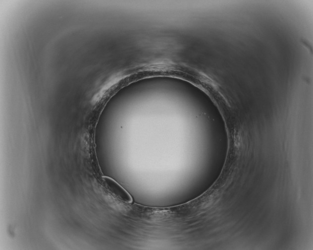 X0000102251304200808011301