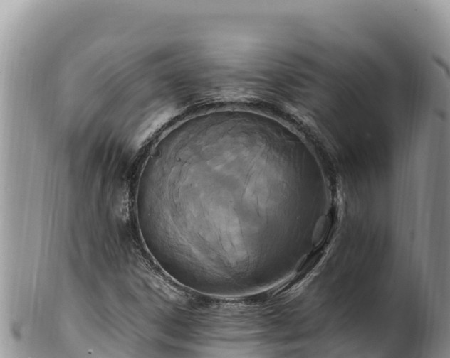 X0000102251306200808011301