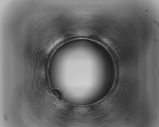 X0000102251307200808011301