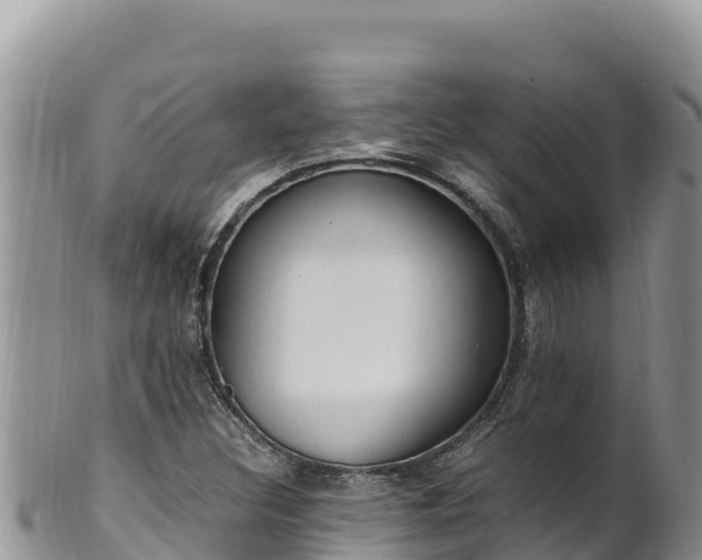 X0000102251308200808011301