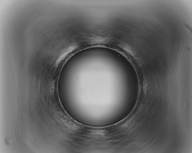 X0000102251309200808011301