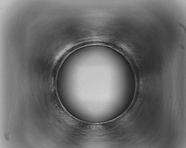 X0000102251310200808011301