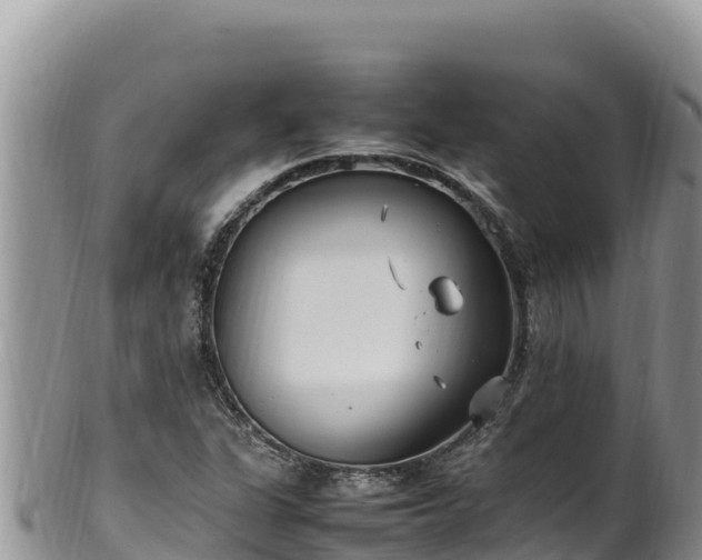 X0000102251311200808011301