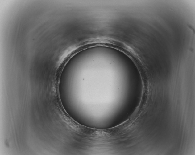 X0000102251312200808011301