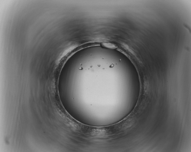 X0000102251315200808011301