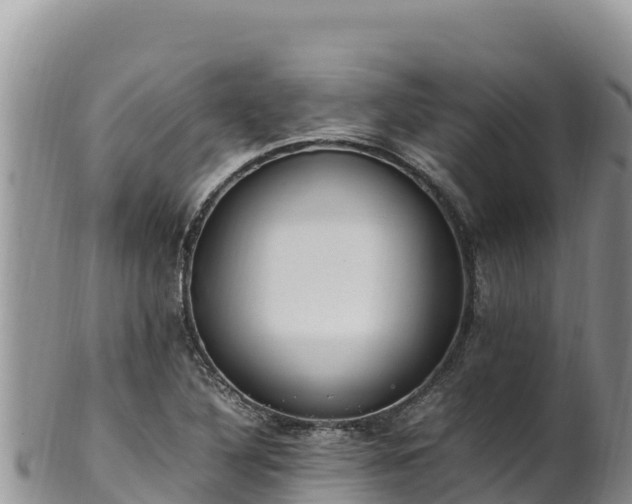 X0000102251316200808011301