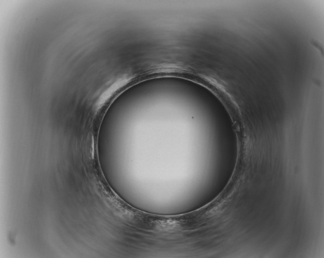 X0000102251317200808011301