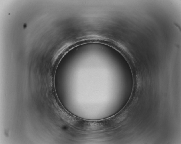 X0000102251318200808011301