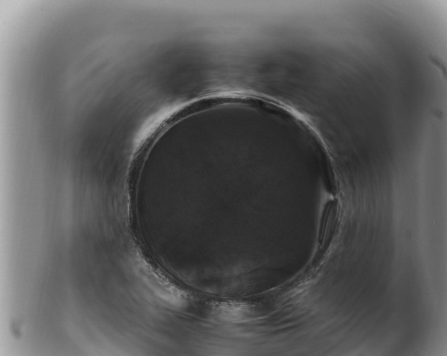 X0000102251319200808011302