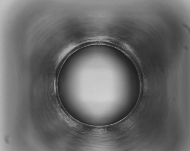 X0000102251320200808011302