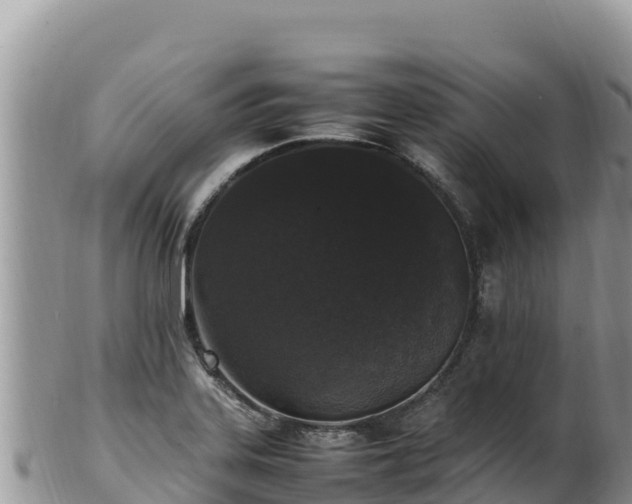 X0000102251323200808011302