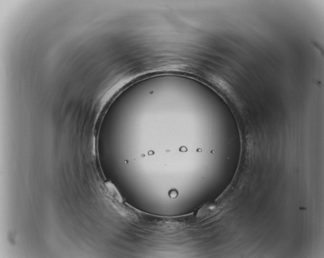 X0000102251324200808011302