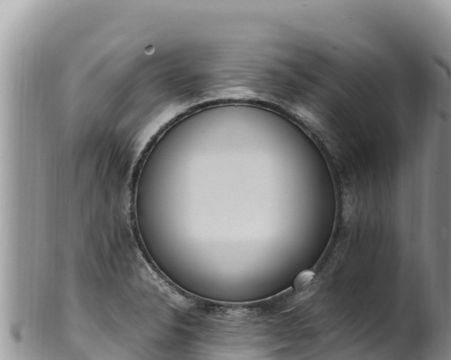 X0000102251326200808011302