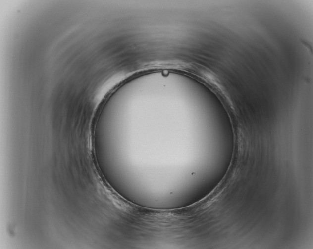 X0000102251328200808011302