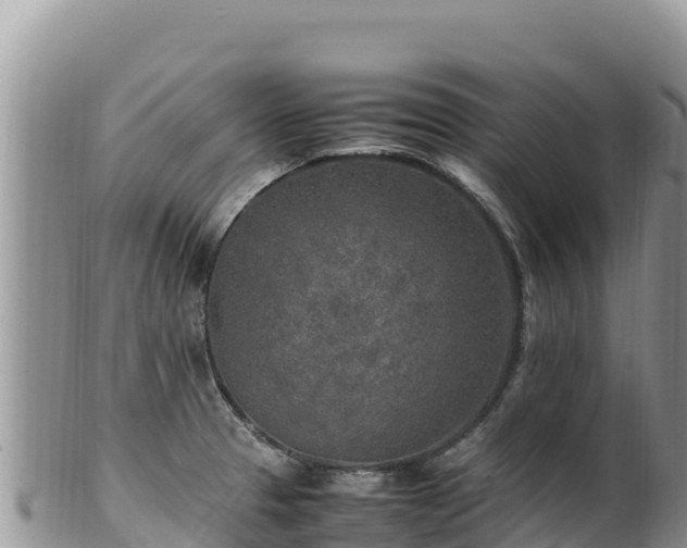 X0000102251329200808011302