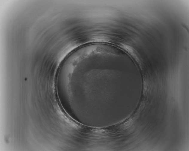 X0000102251331200808011302