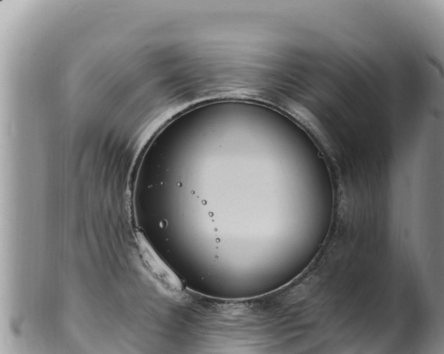 X0000102251332200808011302