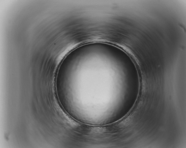 X0000102251333200808011302