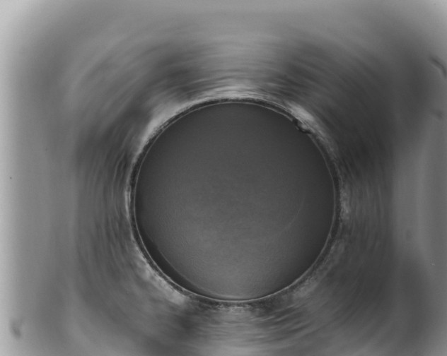 X0000102251334200808011302