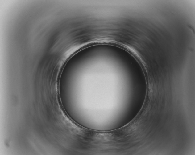 X0000102251335200808011302