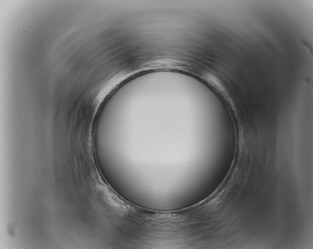 X0000102251336200808011302