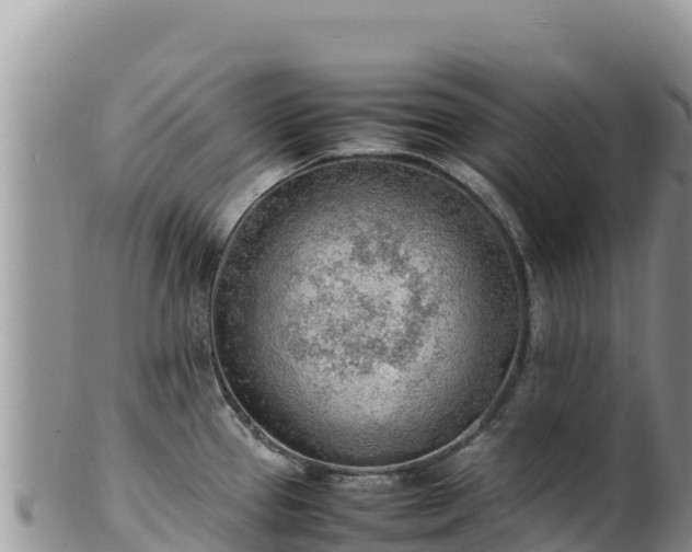 X0000102251337200808011302